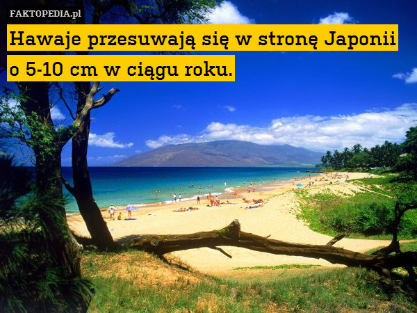 Hawaje przesuwają się w stronę – Hawaje przesuwają się w stronę Japonii o 5-10 cm w ciągu roku. 