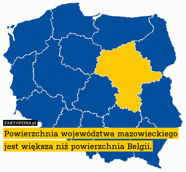 Powierzchnia województwa mazowieckiego – Powierzchnia województwa mazowieckiego jest większa niż powierzchnia Belgii. 