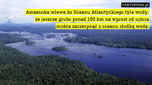 Amazonka wlewa do Oceanu Atlantyckiego – Amazonka wlewa do Oceanu Atlantyckiego tyle wody,
że jeszcze grubo ponad 100 km na wprost od ujścia
można zaczerpnąć z oceanu słodką wodę. 