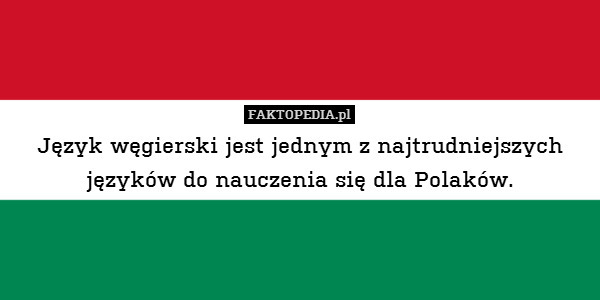Język węgierski jest jednym z najtrudniejszych języków do nauczenia się dla Polaków. 