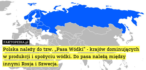 Polska należy do tzw. „Pasa Wódki” - krajów dominujących w produkcji i spożyciu wódki. Do pasa należą między innymi Rosja i Szwecja. 