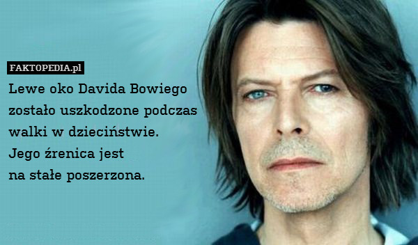 Lewe oko Davida Bowiego
zostało uszkodzone podczas
walki w dzieciństwie.
Jego źrenica jest
na stałe poszerzona. 