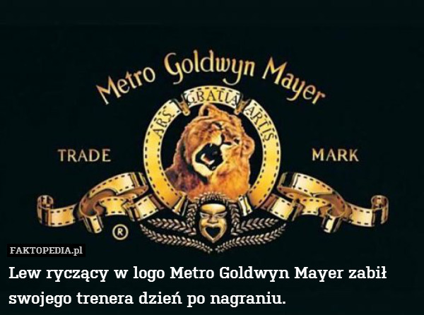 Lew ryczący w logo Metro Goldwyn Mayer zabił swojego trenera dzień po nagraniu. 
