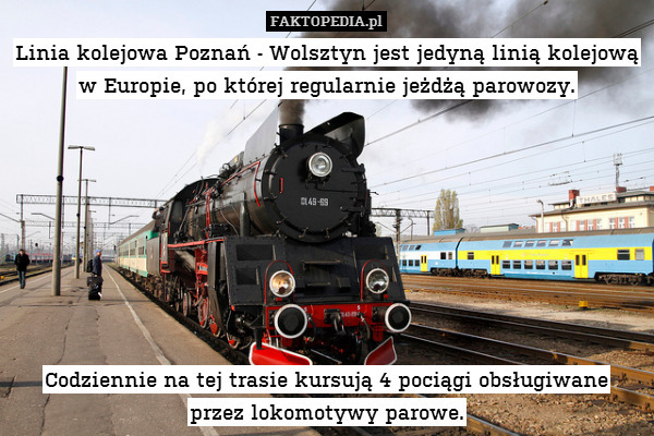 Linia kolejowa Poznań - Wolsztyn jest jedyną linią kolejową w Europie, po której regularnie jeżdżą parowozy.








Codziennie na tej trasie kursują 4 pociągi obsługiwane
przez lokomotywy parowe. 