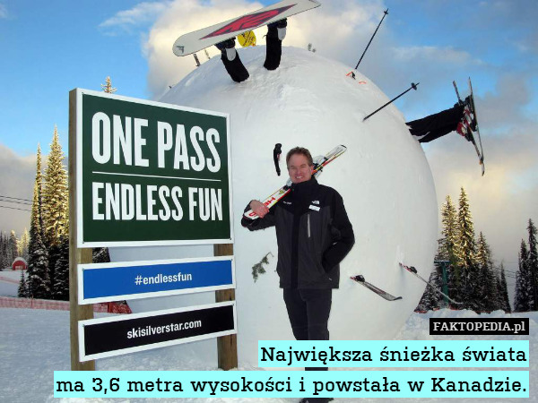 Największa śnieżka świata
ma 3,6 metra wysokości i powstała w Kanadzie. 