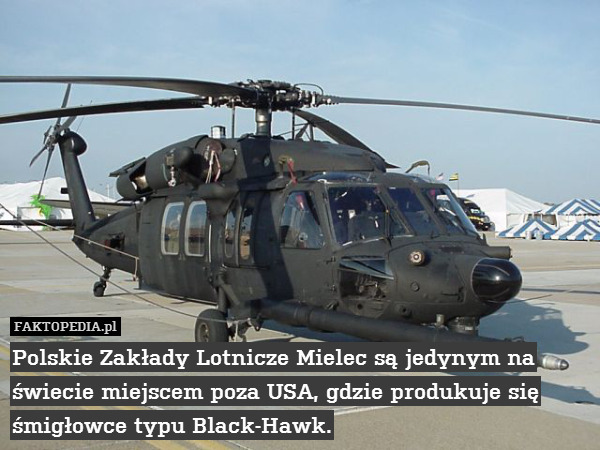 Polskie Zakłady Lotnicze Mielec są jedynym na świecie miejscem poza USA, gdzie produkuje się śmigłowce typu Black-Hawk. 