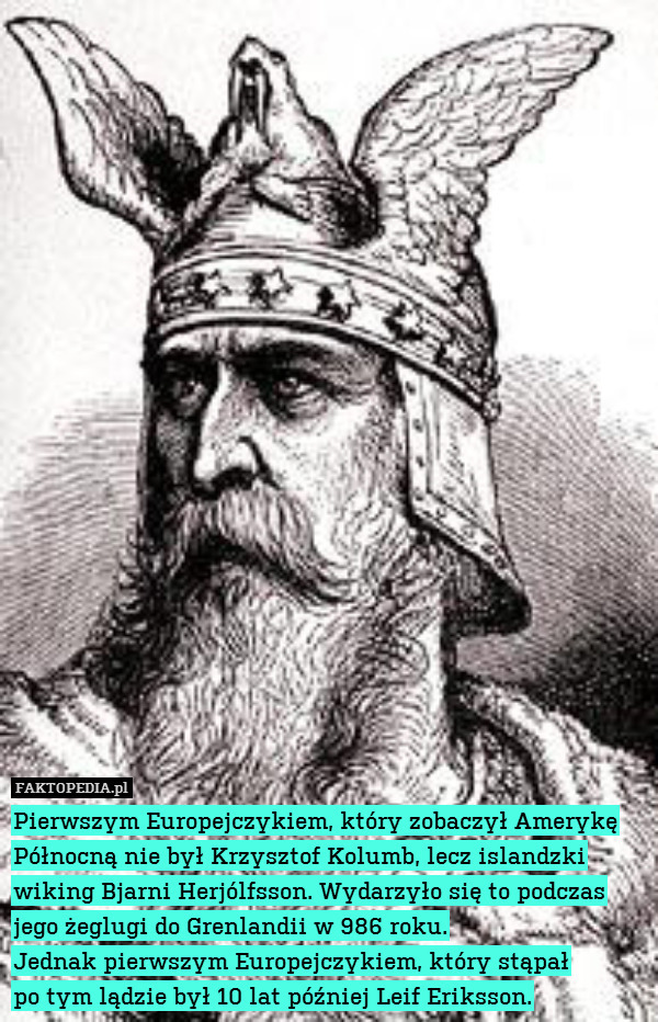 Pierwszym Europejczykiem, który zobaczył Amerykę Północną nie był Krzysztof Kolumb, lecz islandzki wiking Bjarni Herjólfsson. Wydarzyło się to podczas jego żeglugi do Grenlandii w 986 roku.
Jednak pierwszym Europejczykiem, który stąpał
po tym lądzie był 10 lat później Leif Eriksson. 