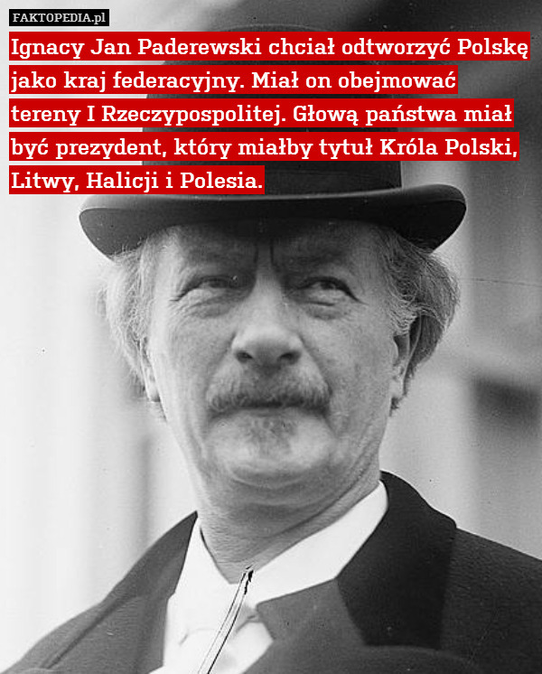 Ignacy Jan Paderewski chciał odtworzyć Polskę jako kraj federacyjny. Miał on obejmować tereny I Rzeczypospolitej. Głową państwa miał być prezydent, który miałby tytuł Króla Polski, Litwy, Halicji i Polesia. 