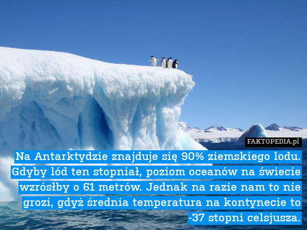 Na Antarktydzie znajduje się 90% ziemskiego lodu. Gdyby lód ten stopniał, poziom oceanów na świecie wzrósłby o 61 metrów. Jednak na razie nam to nie grozi, gdyż średnia temperatura na kontynecie to -37 stopni celsjusza. 