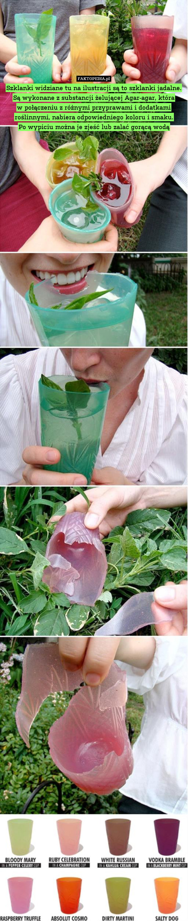 Szklanki widziane tu na ilustracji są to szklanki jadalne. Są wykonane z substancji żelującej Agar-agar, która
w połączeniu z różnymi przyprawami i dodatkami roślinnymi, nabiera odpowiedniego koloru i smaku.
Po wypiciu można je zjeść lub zalać gorącą wodą 