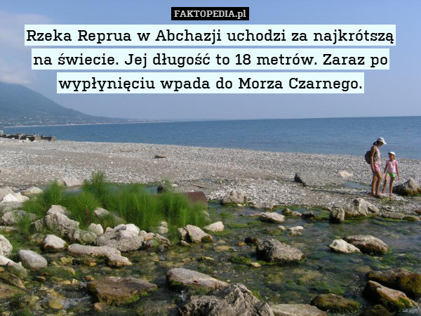 Rzeka Reprua w Abchazji uchodzi za najkrótszą
na świecie. Jej długość to 18 metrów. Zaraz po wypłynięciu wpada do Morza Czarnego. 