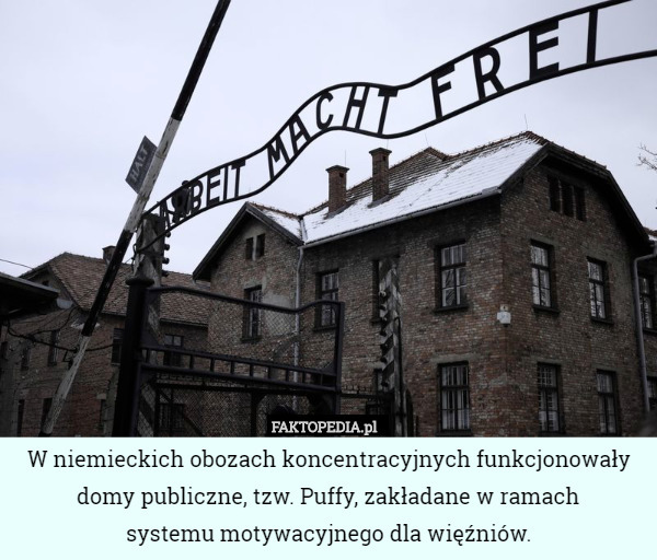 W niemieckich obozach koncentracyjnych funkcjonowały domy publiczne, tzw. Puffy, zakładane w ramach
 systemu motywacyjnego dla więźniów. 