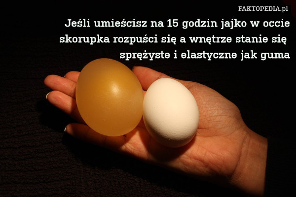 Jeśli umieścisz na 15 godzin jajko w occie
skorupka rozpuści się a wnętrze stanie się 
sprężyste i elastyczne jak guma 