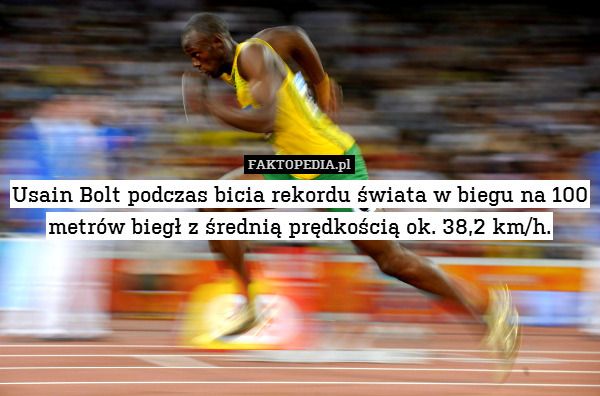 Usain Bolt podczas bicia rekordu świata w biegu na 100 metrów biegł z średnią prędkością ok. 38,2 km/h. 