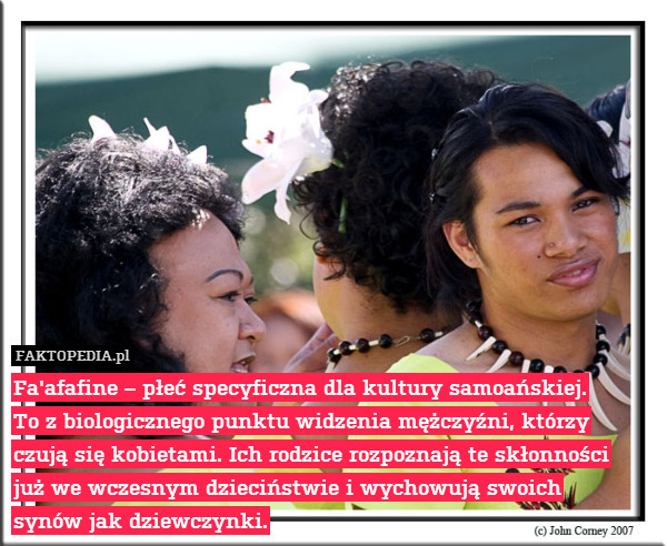 Fa&apos;afafine – płeć specyficzna dla kultury samoańskiej.
To z biologicznego punktu widzenia mężczyźni, którzy
czują się kobietami. Ich rodzice rozpoznają te skłonności
już we wczesnym dzieciństwie i wychowują swoich
synów jak dziewczynki. 