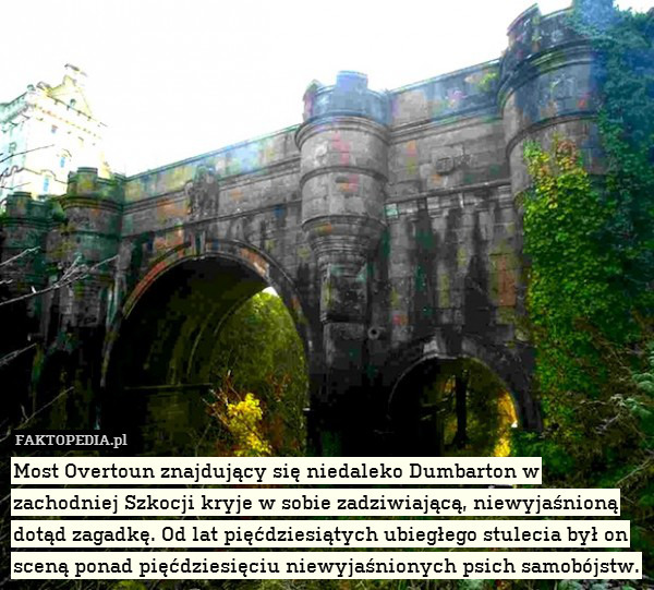 Most Overtoun znajdujący się niedaleko Dumbarton w zachodniej Szkocji kryje w sobie zadziwiającą, niewyjaśnioną dotąd zagadkę. Od lat pięćdziesiątych ubiegłego stulecia był on sceną ponad pięćdziesięciu niewyjaśnionych psich samobójstw. 