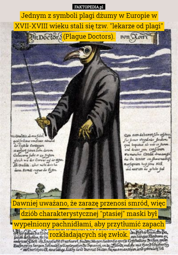 Jednym z symboli plagi dżumy w Europie w XVII-XVIII wieku stali się tzw. "lekarze od plagi" (Plague Doctors).















Dawniej uważano, że zarazę przenosi smród, więc dziób charakterystycznej "ptasiej" maski był wypełniony pachnidłami, aby przytłumić zapach rozkładających się zwłok. 