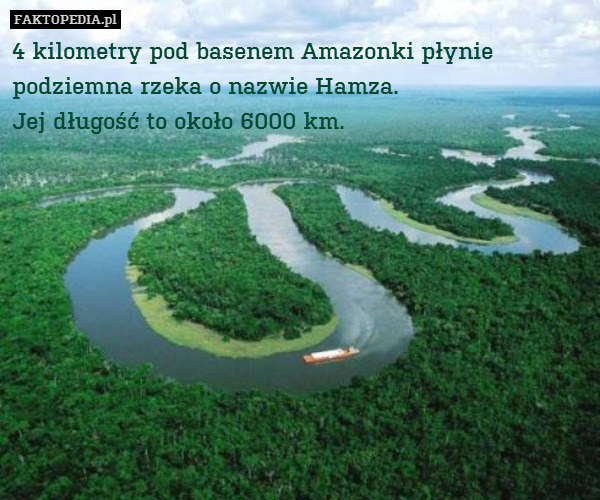 4 kilometry pod basenem Amazonki – 4 kilometry pod basenem Amazonki płynie podziemna rzeka o nazwie Hamza.
Jej długość to około 6000 km. 