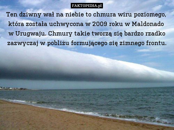 Ten dziwny wał na niebie to chmura wiru poziomego, 
która została uchwycona w 2009 roku w Maldonado 
w Urugwaju. Chmury takie tworzą się bardzo rzadko zazwyczaj w pobliżu formującego się zimnego frontu. 