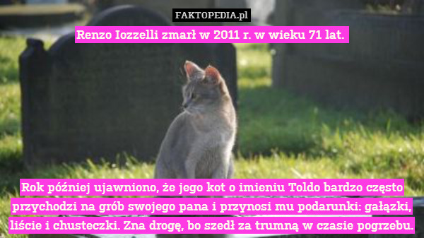 Renzo Iozzelli zmarł w 2011 r. w wieku 71 lat. 







Rok później ujawniono, że jego kot o imieniu Toldo bardzo często przychodzi na grób swojego pana i przynosi mu podarunki: gałązki, liście i chusteczki. Zna drogę, bo szedł za trumną w czasie pogrzebu. 