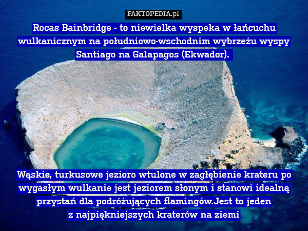 Rocas Bainbridge - to niewielka wyspeka w łańcuchu wulkanicznym na południowo-wschodnim wybrzeżu wyspy Santiago na Galapagos (Ekwador). 








Wąskie, turkusowe jezioro wtulone w zagłębienie krateru po wygasłym wulkanie jest jeziorem słonym i stanowi idealną przystań dla podróżujących flamingów.Jest to jeden
 z najpiękniejszych kraterów na ziemi 