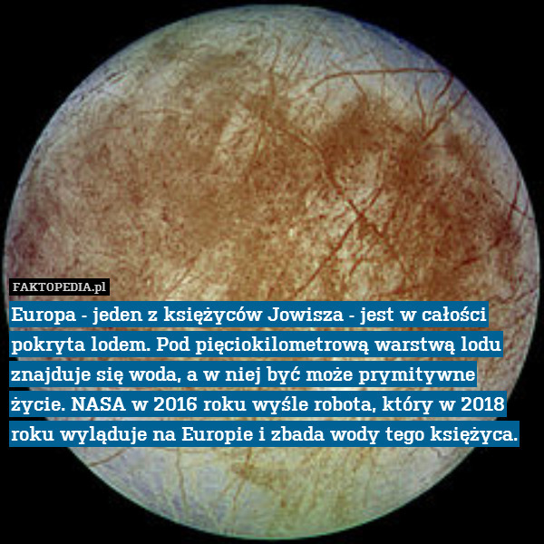 Europa - jeden z księżyców Jowisza - jest w całości pokryta lodem. Pod pięciokilometrową warstwą lodu znajduje się woda, a w niej być może prymitywne życie. NASA w 2016 roku wyśle robota, który w 2018 roku wyląduje na Europie i zbada wody tego księżyca. 