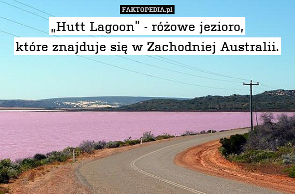 „Hutt Lagoon” - różowe jezioro,
które znajduje się w Zachodniej Australii. 