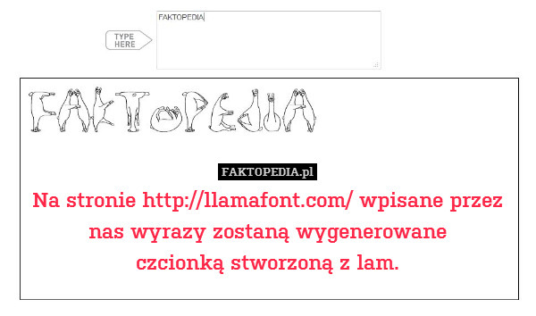 Na stronie http://llamafont.com/ wpisane przez
nas wyrazy zostaną wygenerowane
czcionką stworzoną z lam. 