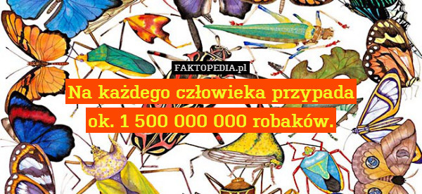 Na każdego człowieka przypada
ok. 1 500 000 000 robaków. 