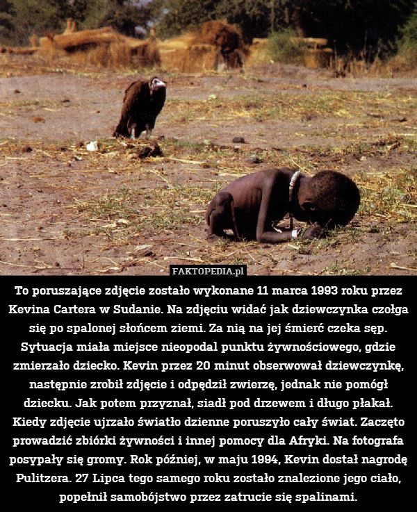 To poruszające zdjęcie zostało wykonane 11 marca 1993 roku przez Kevina Cartera w Sudanie. Na zdjęciu widać jak dziewczynka czołga się po spalonej słońcem ziemi. Za nią na jej śmierć czeka sęp. Sytuacja miała miejsce nieopodal punktu żywnościowego, gdzie zmierzało dziecko. Kevin przez 20 minut obserwował dziewczynkę, następnie zrobił zdjęcie i odpędził zwierzę, jednak nie pomógł dziecku. Jak potem przyznał, siadł pod drzewem i długo płakał. Kiedy zdjęcie ujrzało światło dzienne poruszyło cały świat. Zaczęto prowadzić zbiórki żywności i innej pomocy dla Afryki. Na fotografa posypały się gromy. Rok później, w maju 1994, Kevin dostał nagrodę Pulitzera. 27 Lipca tego samego roku zostało znalezione jego ciało, popełnił samobójstwo przez zatrucie się spalinami. 