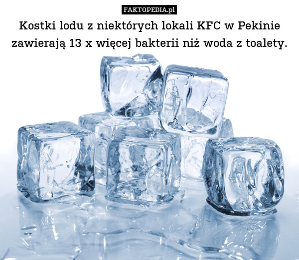 Kostki lodu z niektórych lokali KFC w Pekinie zawierają 13 x więcej bakterii niż woda z toalety. 