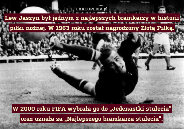 Lew Jaszyn był jednym z najlepszych bramkarzy w historii piłki nożnej. W 1963 roku został nagrodzony Złotą Piłką.







W 2000 roku FIFA wybrała go do „Jedenastki stulecia”
oraz uznała za „Najlepszego bramkarza stulecia”. 