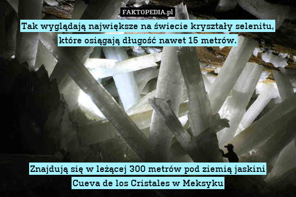 Tak wyglądają największe na świecie kryształy selenitu,
które osiągają długość nawet 15 metrów.








Znajdują się w leżącej 300 metrów pod ziemią jaskini
Cueva de los Cristales w Meksyku 