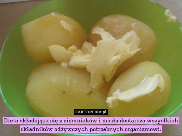 Dieta składająca się z ziemniaków i masła dostarcza wszystkich składników odżywczych potrzebnych organizmowi. 