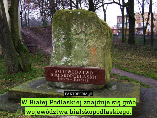 W Białej Podlaskiej znajduje się grób województwa bialskopodlaskiego. 