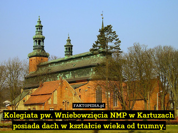 Kolegiata pw. Wniebowzięcia NMP w Kartuzach posiada dach w kształcie wieka od trumny. 