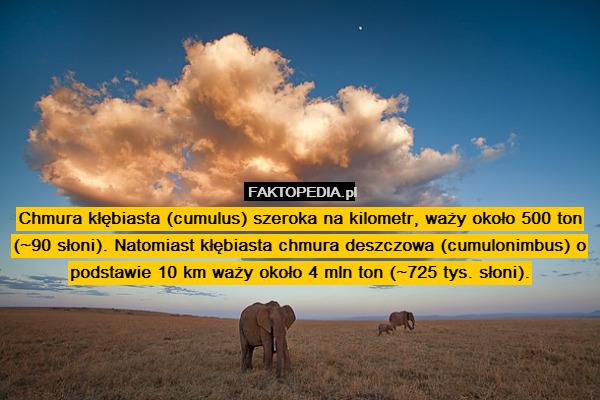 Chmura kłębiasta (cumulus) szeroka na kilometr, waży około 500 ton (~90 słoni). Natomiast kłębiasta chmura deszczowa (cumulonimbus) o podstawie 10 km waży około 4 mln ton (~725 tys. słoni). 