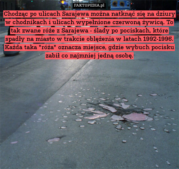 Chodząc po ulicach Sarajewa można natknąć się na dziury w chodnikach i ulicach wypełnione czerwoną żywicą. To tak zwane róże z Sarajewa - ślady po pociskach, które spadły na miasto w trakcie oblężenia w latach 1992-1996. Każda taka "róża" oznacza miejsce, gdzie wybuch pocisku zabił co najmniej jedną osobę. 