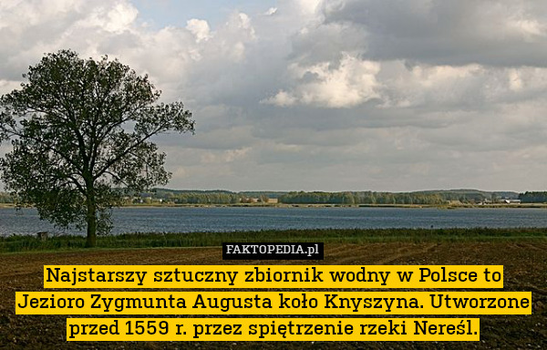Najstarszy sztuczny zbiornik wodny w Polsce to Jezioro Zygmunta Augusta koło Knyszyna. Utworzone przed 1559 r. przez spiętrzenie rzeki Nereśl. 