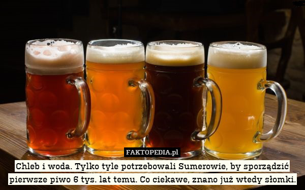 Chleb i woda. Tylko tyle potrzebowali Sumerowie, by sporządzić pierwsze piwo 6 tys. lat temu. Co ciekawe, znano już wtedy słomki. 