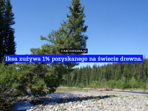Ikea zużywa 1% pozyskanego na świecie drewna. 