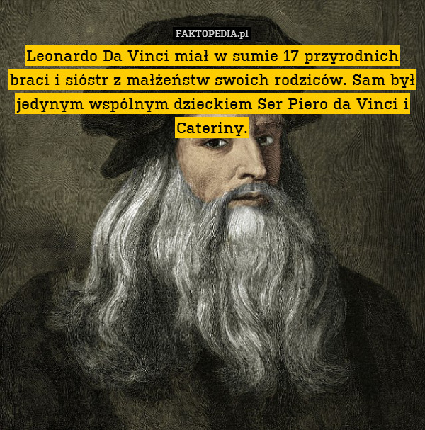 Leonardo Da Vinci miał w sumie 17 przyrodnich braci i sióstr z małżeństw swoich rodziców. Sam był jedynym wspólnym dzieckiem Ser Piero da Vinci i Cateriny. 