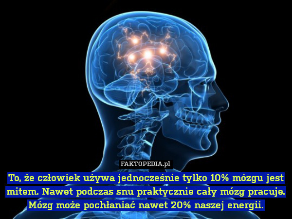 To, że człowiek używa jednocześnie tylko 10% mózgu jest mitem. Nawet podczas snu praktycznie cały mózg pracuje. Mózg może pochłaniać nawet 20% naszej energii. 