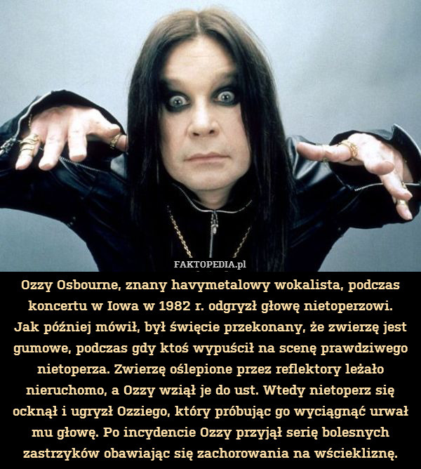 Ozzy Osbourne, znany havymetalowy wokalista, podczas koncertu w Iowa w 1982 r. odgryzł głowę nietoperzowi.
Jak później mówił, był święcie przekonany, że zwierzę jest gumowe, podczas gdy ktoś wypuścił na scenę prawdziwego nietoperza. Zwierzę oślepione przez reflektory leżało nieruchomo, a Ozzy wziął je do ust. Wtedy nietoperz się ocknął i ugryzł Ozziego, który próbując go wyciągnąć urwał mu głowę. Po incydencie Ozzy przyjął serię bolesnych zastrzyków obawiając się zachorowania na wściekliznę. 