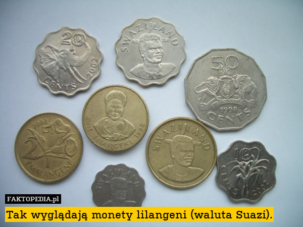 Tak wyglądają monety lilangeni (waluta Suazi). 