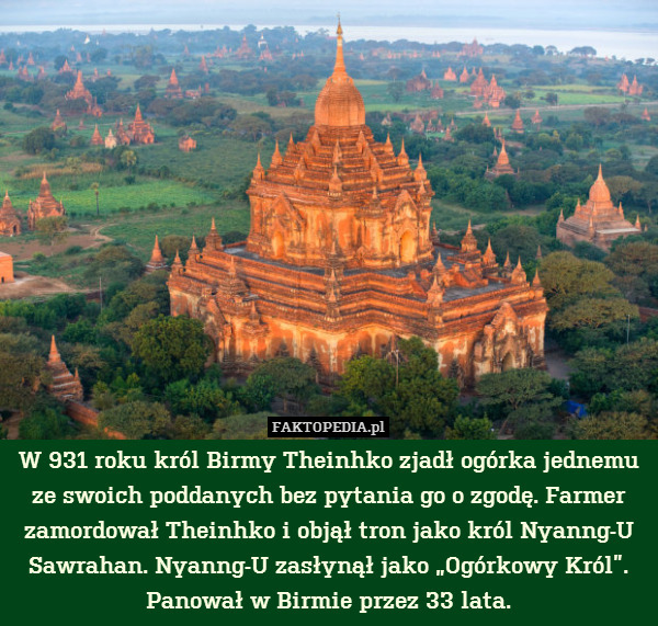 W 931 roku król Birmy Theinhko zjadł ogórka jednemu
ze swoich poddanych bez pytania go o zgodę. Farmer zamordował Theinhko i objął tron jako król Nyanng-U Sawrahan. Nyanng-U zasłynął jako „Ogórkowy Król”. Panował w Birmie przez 33 lata. 