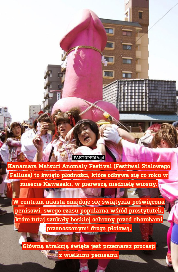 Kanamara Matsuri Anomaly Festival (Festiwal Stalowego Fallusa) to święto płodności, które odbywa się co roku w mieście Kawasaki, w pierwszą niedzielę wiosny.

W centrum miasta znajduje się świątynia poświęcona penisowi, swego czasu popularna wśród prostytutek,
które tutaj szukały boskiej ochrony przed chorobami przenoszonymi drogą płciową.

Główną atrakcją święta jest przemarsz procesji
z wielkimi penisami. 