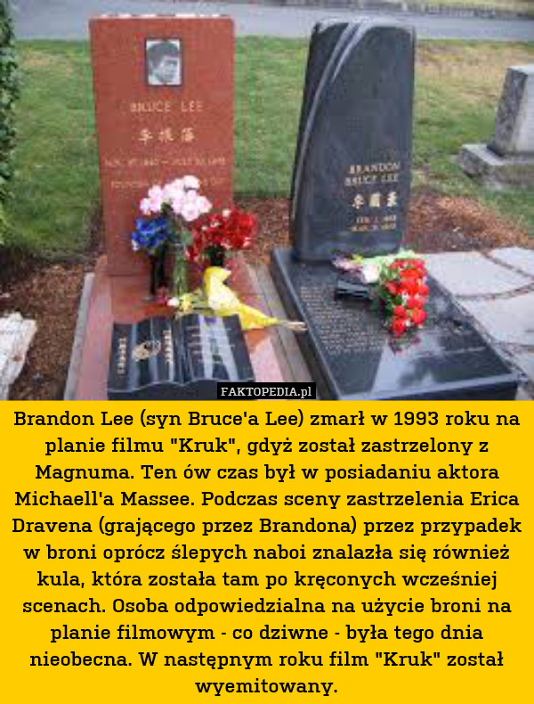 Brandon Lee (syn Bruce&apos;a Lee) zmarł w 1993 roku na planie filmu "Kruk", gdyż został zastrzelony z Magnuma. Ten ów czas był w posiadaniu aktora Michaell&apos;a Massee. Podczas sceny zastrzelenia Erica Dravena (grającego przez Brandona) przez przypadek w broni oprócz ślepych naboi znalazła się również kula, która została tam po kręconych wcześniej scenach. Osoba odpowiedzialna na użycie broni na planie filmowym - co dziwne - była tego dnia nieobecna. W następnym roku film "Kruk" został wyemitowany. 