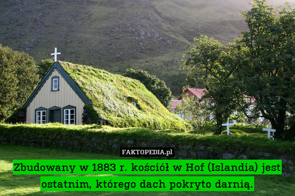 Zbudowany w 1883 r. kościół w Hof (Islandia) jest ostatnim, którego dach pokryto darnią. 