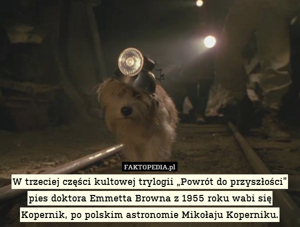 W trzeciej części kultowej trylogii „Powrót do przyszłości” pies doktora Emmetta Browna z 1955 roku wabi się Kopernik, po polskim astronomie Mikołaju Koperniku. 